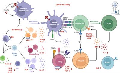 Can vitamin D status influence seroconversion to SARS-COV2 vaccines?